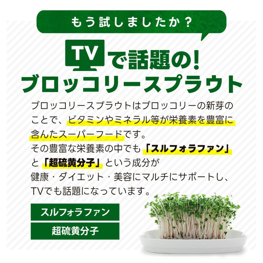ブロッコリースプラウト （約3ヶ月分）サプリメント サプリ ダイエット スルフォラファン ビタミン ポイント利用 ダイエット | ogaland | 03