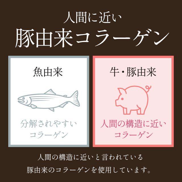 ogaland さらさらコラーゲン100 (100g) 高純度 100 ogaland さらさらコラーゲン100 (100g) 高純度 100