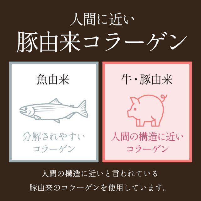 さらさらコラーゲン100 （100g） 高純度 100％ コラーゲンペプチド コラーゲンパウダー 国産 粉末 低分子 アミノ酸 エイジングケア 美容 ダイエット 豚 由来｜oga｜09