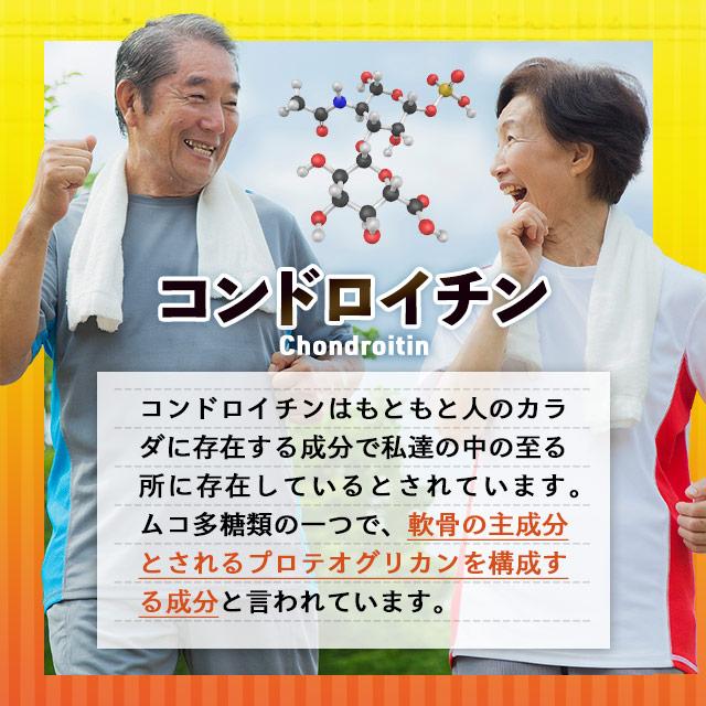 コンドロイチン サプリ 約3ヶ月分 グルコサミン ヒアルロン酸 コラーゲン サプリメント 人生の節々をサポート ビタミンB ポイント利用 | ogaland | 06