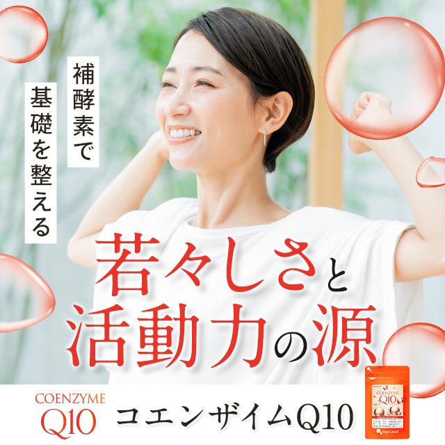 ogaland（オーガランド） コエンザイムQ10 （約3ヶ月分）サプリメント