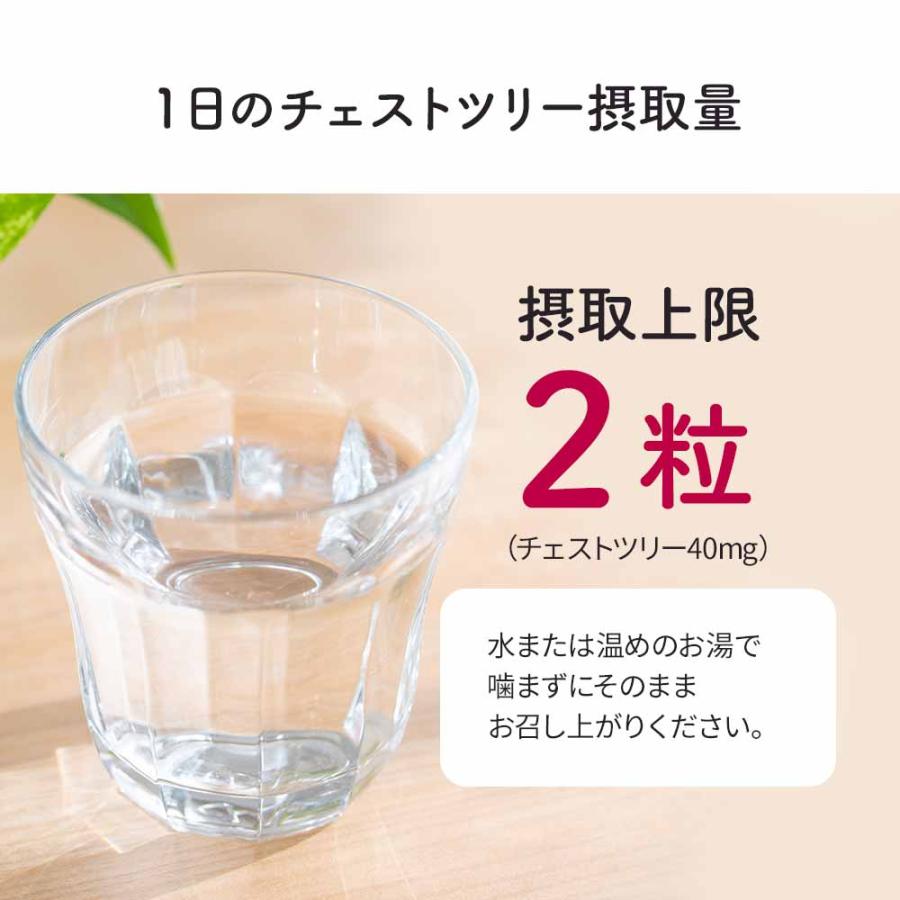 チェストツリー （約3ヶ月分） 賞味期限最短2025年3月末まで サプリ ビタミン B2 B6 サプリメント 女性のミカタ 20mg配合 ハーブ 亜鉛 カルシウム マグネシウム｜oga｜14