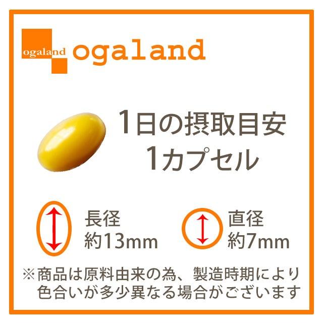 ogaland（オーガランド） エラスチン サプリ （約1ヶ月分）コラーゲン