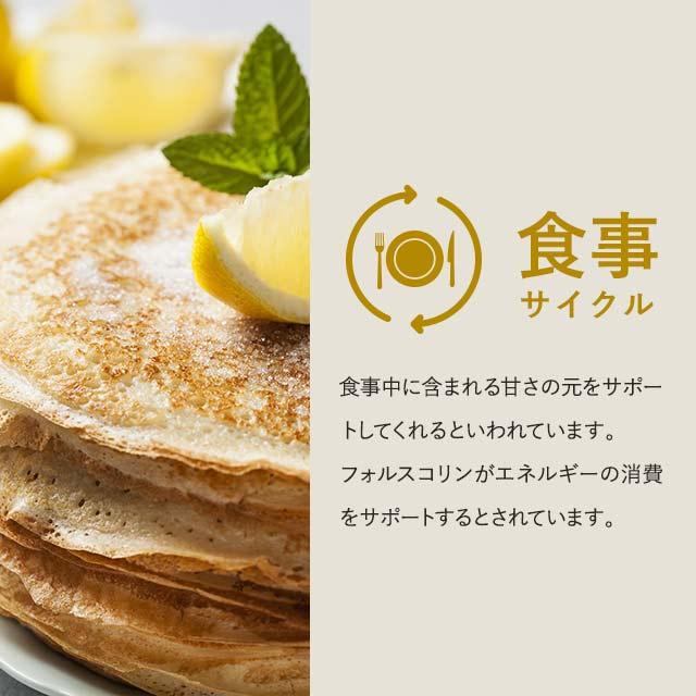 ogaland（オーガランド） コレウスフォルスコリ （約1ヶ月分