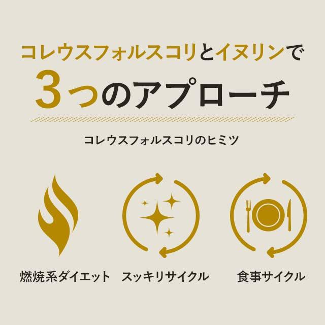 ogaland（オーガランド） コレウスフォルスコリ （約1ヶ月分