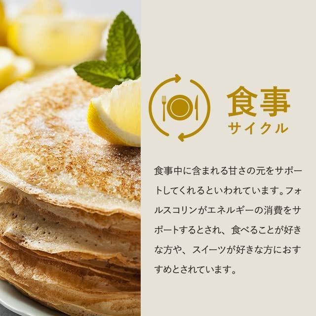 コレウスフォルスコリ （約3ヶ月分） ダイエット 食物繊維 サプリメント 水溶性食物繊維 イヌリン 燃焼系 菊芋 サプリ コレウス｜oga｜12