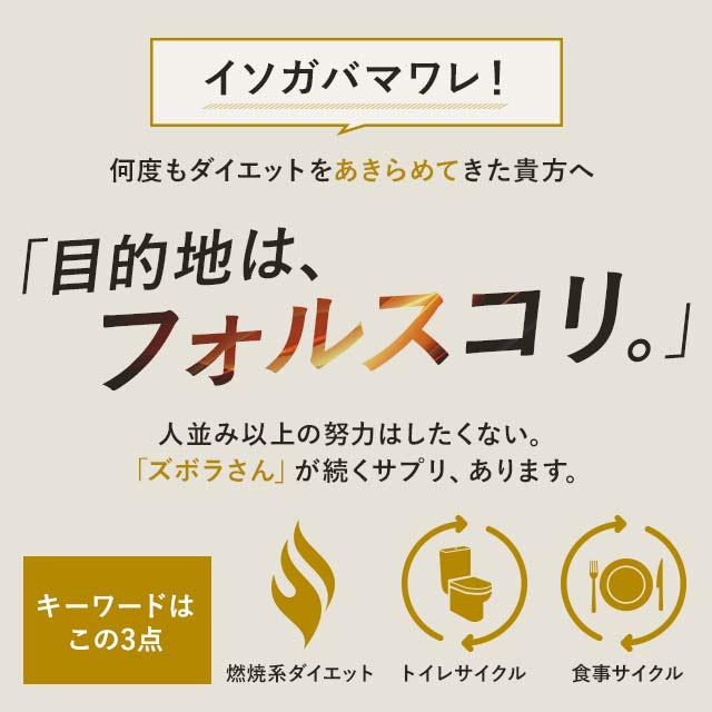 コレウスフォルスコリ （約3ヶ月分） ダイエット 食物繊維 サプリメント 水溶性食物繊維 イヌリン 燃焼系 菊芋 サプリ コレウス｜oga｜04