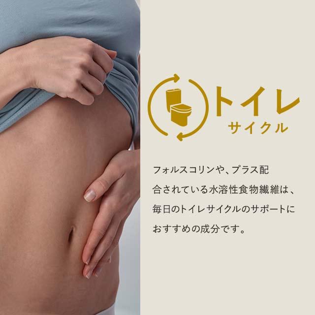 コレウスフォルスコリ （約3ヶ月分） ダイエット 食物繊維 サプリメント 水溶性食物繊維 イヌリン 燃焼系 菊芋 サプリ コレウス｜oga｜11