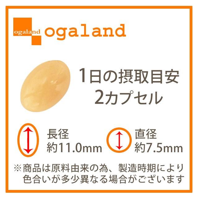 ogaland（オーガランド） セサミンカプセル （約3ヶ月分