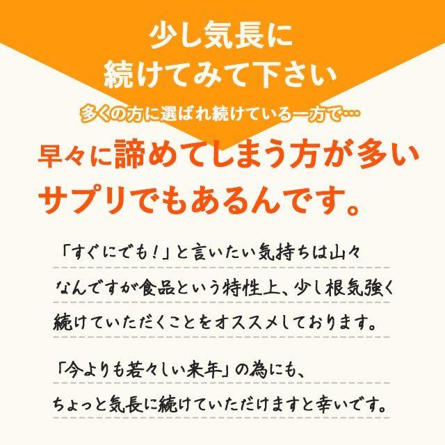 グルコサミン ＆ コンドロイチン ＆ コラーゲン （約3ヶ月分） サプリ サプリメント 運動 低分子 コラーゲン スポーツ 軟骨 抽出物 送料無料｜oga｜06