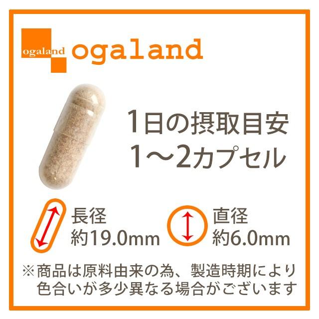 蜂の子サプリ　1年分大容量　難聴　耳鳴りサプリ　メニエール病　オーガランド　新品 蜂の子サプリ 1年分大容量 難聴 耳鳴りサプリ メニエール病 オーガ