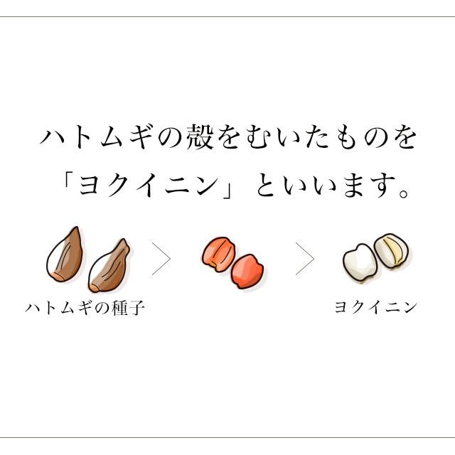 ogaland（オーガランド） はとむぎエキス （約3ヶ月分） サプリメント