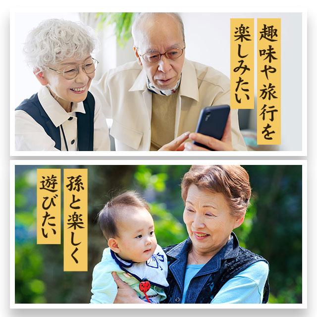 機能性表示食品 イチョウ葉 （約3ヶ月分） サプリ サプリメント イチョウ葉フラボノイド配糖体 テルペンラクトン 加齢 記憶力 祖父母に送る ポイント利用 | ogaland | 10