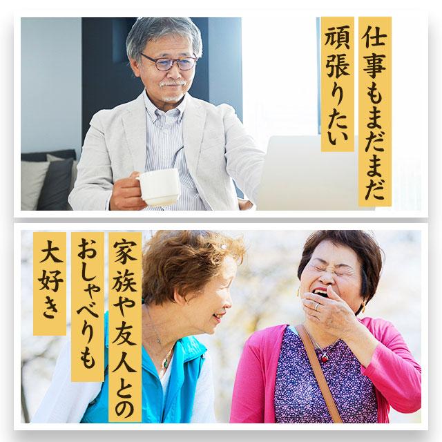 機能性表示食品 イチョウ葉 （約3ヶ月分） サプリ サプリメント イチョウ葉フラボノイド配糖体 テルペンラクトン 加齢 記憶力 祖父母に送る ポイント利用 | ogaland | 11