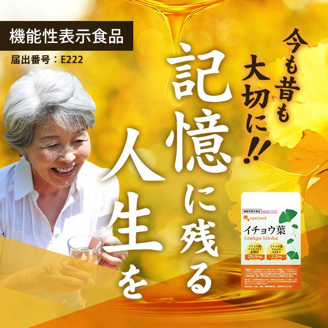 機能性表示食品 イチョウ葉 （約3ヶ月分） サプリ サプリメント イチョウ葉フラボノイド配糖体 テルペンラクトン 加齢 記憶力 祖父母に送る ポイント利用 | ogaland | 01
