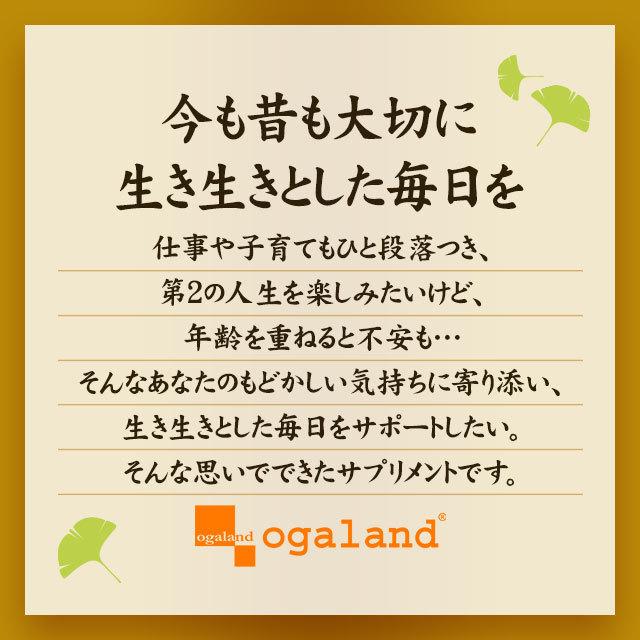 機能性表示食品 イチョウ葉 （約3ヶ月分） サプリ サプリメント イチョウ葉フラボノイド配糖体 テルペンラクトン 加齢 記憶力 祖父母に送る 安心品質｜oga｜07