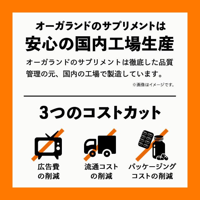 イミダゾールジペプチド （約1ヶ月分） イミダゾール サプリ クエン酸 アミノ酸 アンセリン リンゴ酸 ビタミン サプリメント｜oga｜18