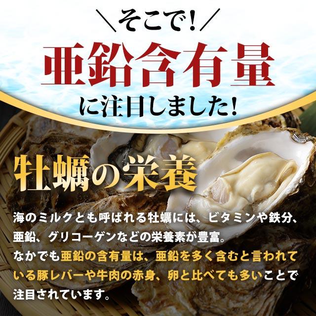 ogaland（オーガランド） 牡蠣エキス粒 （約3ヶ月分） サプリメント