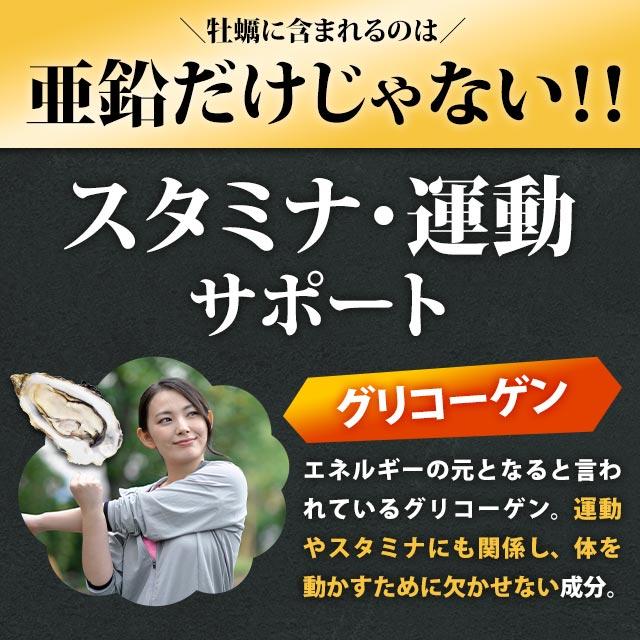 ogaland（オーガランド） 牡蠣エキス粒 （約3ヶ月分） サプリメント