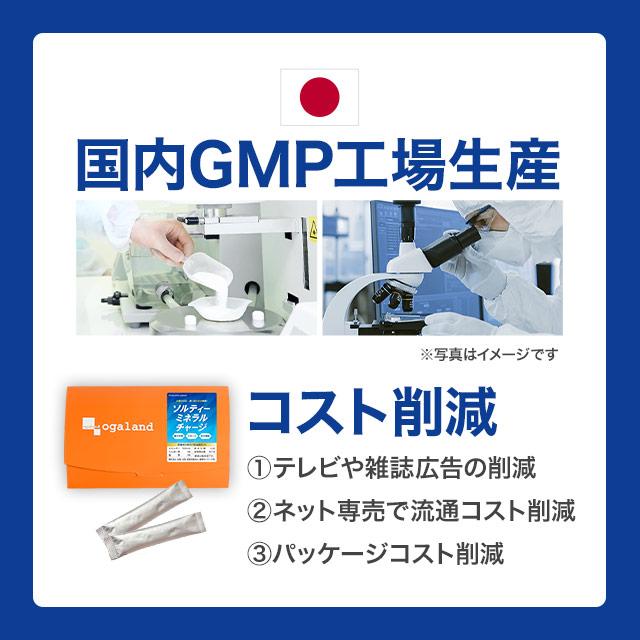 ソルティーミネラルチャージ（20包） 熱中症 災害時 対策 個包装 スポーツ 水分補給 トレーニング クエン酸 パウダー 粉末 食塩 ブドウ糖 夏 ポイント利用 | ogaland | 09