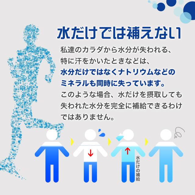 ソルティーミネラルチャージ（20包） 熱中症 災害時 対策 個包装 スポーツ 水分補給 トレーニング クエン酸 パウダー 粉末 食塩 ブドウ糖 夏 ポイント利用 | ogaland | 04