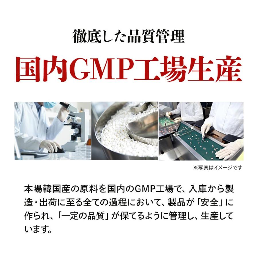 高麗人参カプセル （約3ヶ月分） 必須 アミノ酸 ミネラル サプリメント ビタミン カロテン サプリ サポニン ジンセノイド 元気 高麗人蔘 発酵 ポイント利用 | ogaland | 13