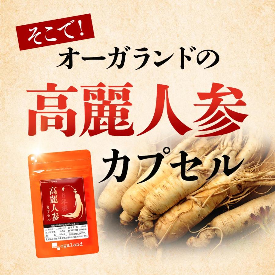 高麗人参カプセル （約3ヶ月分） 必須 アミノ酸 ミネラル サプリメント ビタミン カロテン サプリ サポニン ジンセノイド 元気 高麗人蔘 発酵 ポイント利用 | ogaland | 16