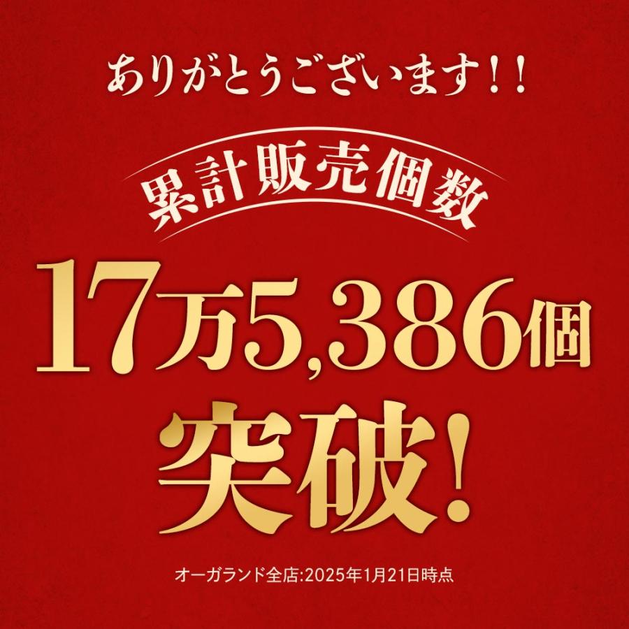 ogaland（オーガランド） 高麗人参カプセル （約3ヶ月分） 必須