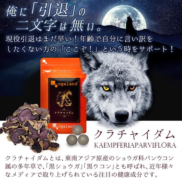 クラチャイダム サプリメント 男性 サプリ 60粒 アルギニン アスパラギン酸 aa アミノ酸 送料無料 オーガランド Paypayモール店 通販 Paypayモール
