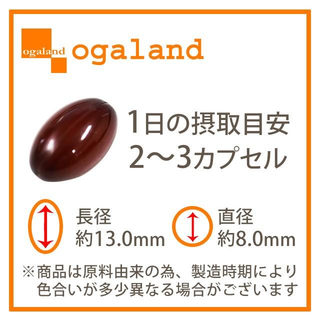 ogaland（オーガランド） 国産福山黒酢カプセル （約3ヶ月分） 美容