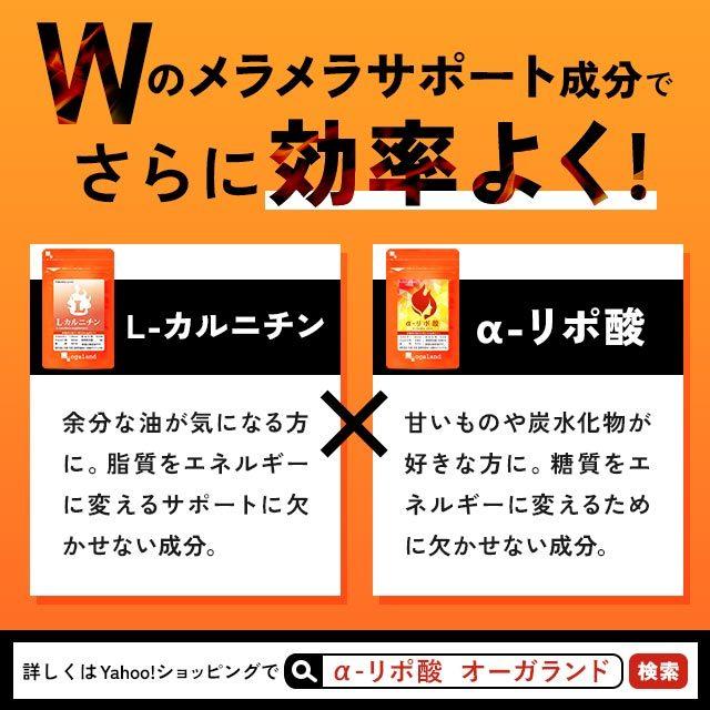 L-カルニチン （約1ヶ月分） サプリ ダイエット アミノ酸 燃焼系 サプリメント スポーツ トレーニング 運動 黒コショウ 生活習慣 健康 カプサイシン と一緒に｜oga｜16