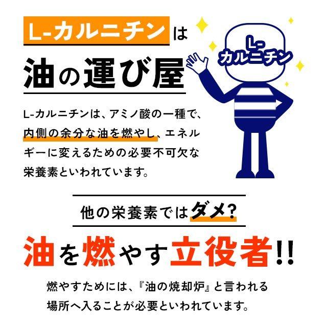 L-カルニチン （約1ヶ月分） サプリ ダイエット アミノ酸 燃焼系 サプリメント スポーツ トレーニング 運動 黒コショウ 生活習慣 健康 カプサイシン と一緒に｜oga｜08