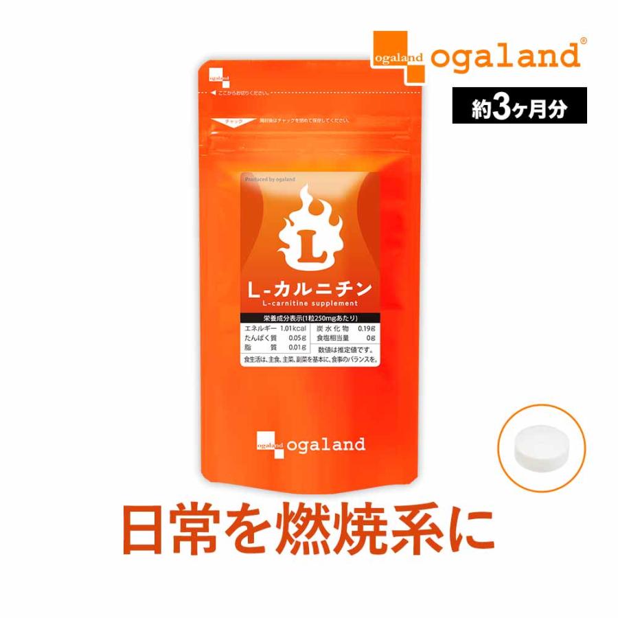 5％OFF ダイエットサプリ約3ヶ月分 短期間集中 燃焼 激やせ 産後 Lカルニチン