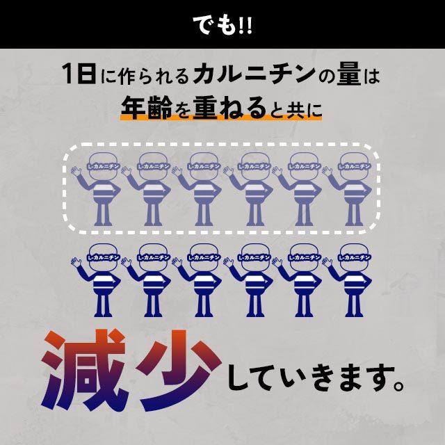 L-カルニチン （約3ヶ月分） ダイエット アミノ酸 燃焼系 サプリ サプリメント スポーツ ランニング のお供に 黒胡椒 生活習慣 リポ酸 や カプサイシン と一緒に｜oga｜11