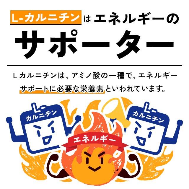 ogaland（オーガランド） L- カルニチン （約3ヶ月分） ダイエット