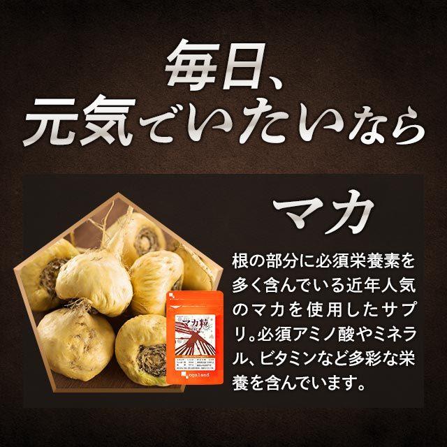 L- シトルリン サプリ 約3ヶ月分 アミノ酸 自信 元気を付けたい 男性 男らしさ アルギニン サプリメント しとるりん マカ 亜鉛と一緒に ポイント利用 | ogaland | 10