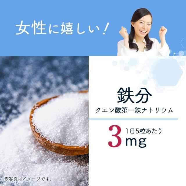 ogaland（オーガランド） マルチミネラル サプリ 約3ヶ月分 ヨウ素