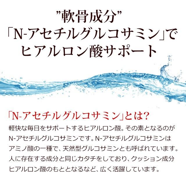 N-アセチルグルコサミン （約3ヶ月分） グルコサミン サプリ サプリメント 天然 スポーツ ヒアルロン酸 コンドロイチン と一緒に 贈り物 プレゼント 両親 祖父母｜oga｜07