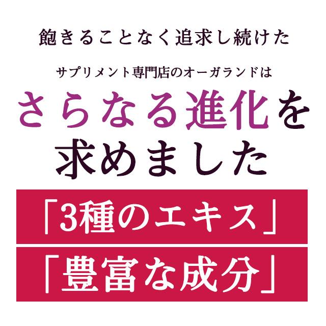 ブルーベリー （約1ヶ月分） サプリメント サプリ アントシアニン βカロテン ポリフェノール クコの実 カシス ビタミン｜oga｜11