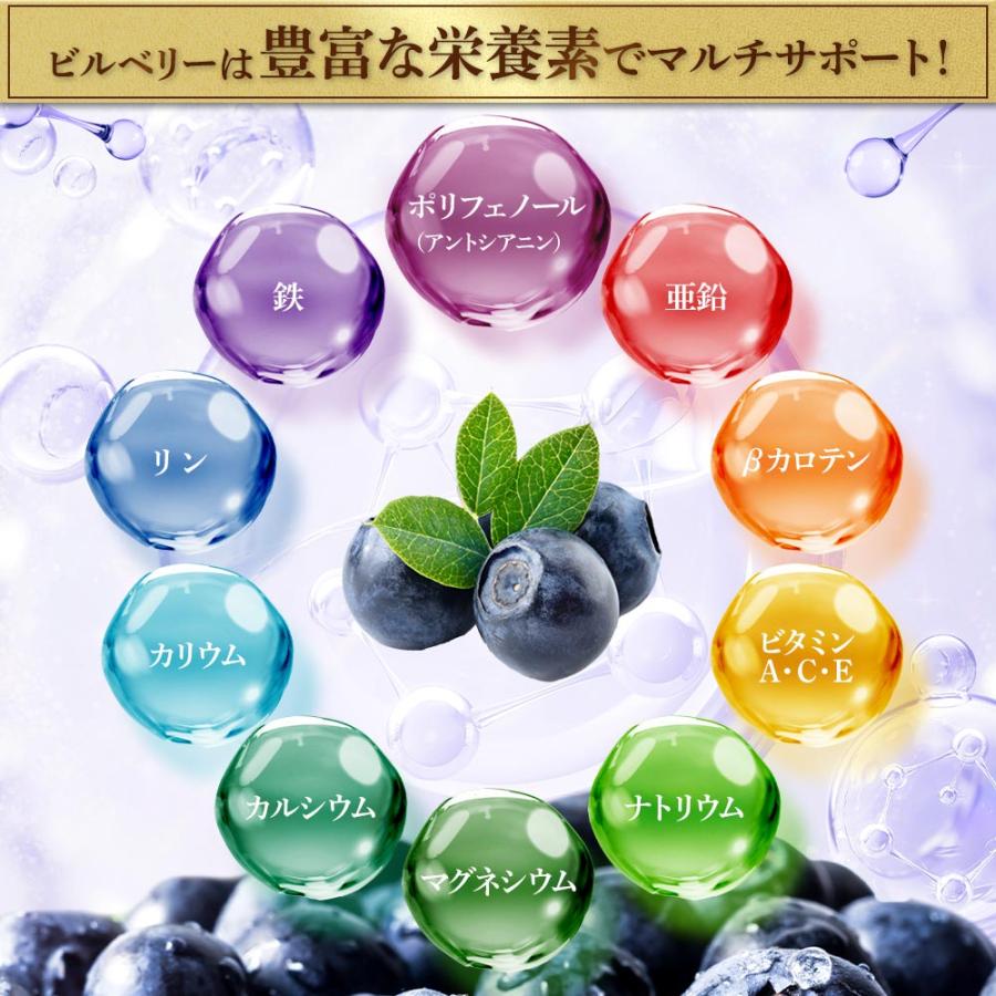 ogaland ブルーベリー サプリ 約1ヶ月分 アントシアニン