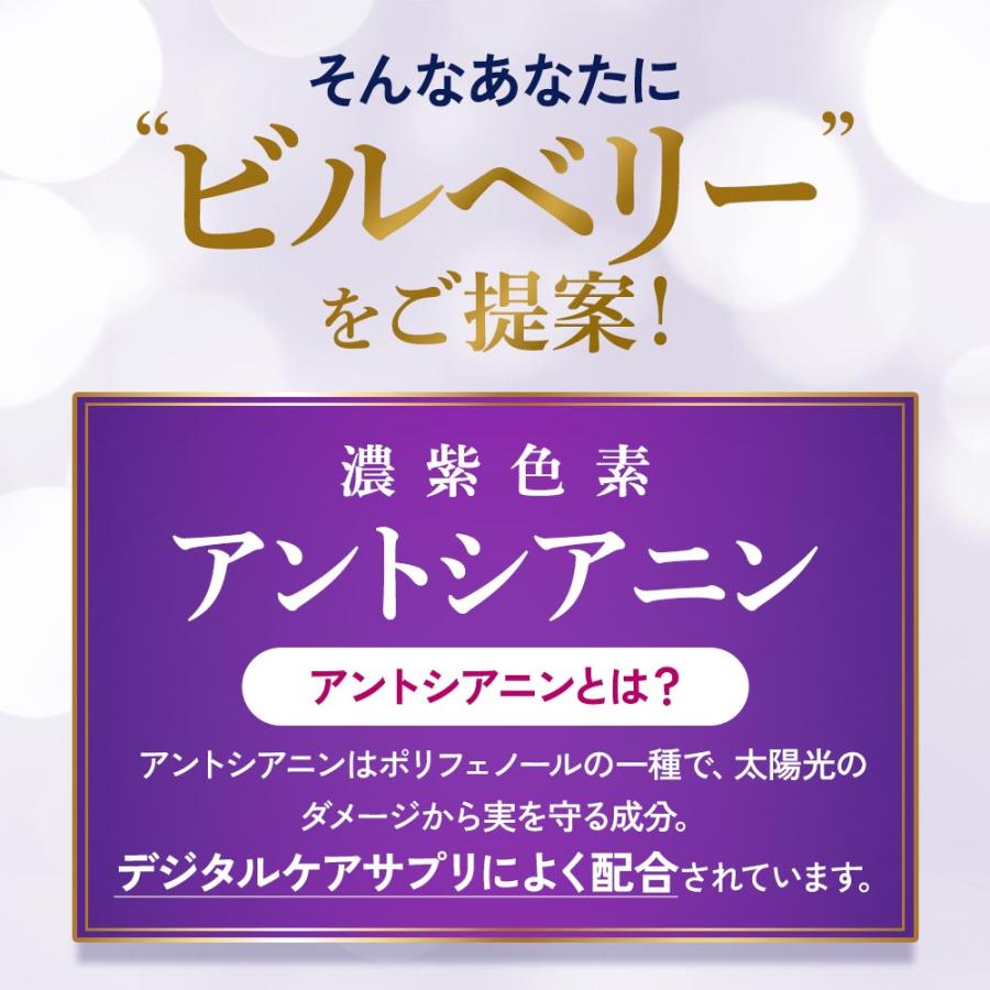 ブルーベリー サプリ 約1ヶ月分 アントシアニン ポリフェノール サプリメント ビルベリー ビタミン 鉄 亜鉛 カロテン カリウム マグネシウム ポイント利用 | ogaland | 06