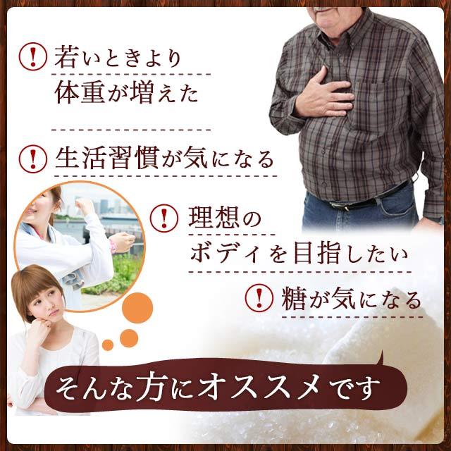 生コーヒークロロゲン酸 （約3ヶ月分） ダイエットコーヒー サプリメント サプリコーヒー豆 健康 美容 オーガランドポイント利用 | ogaland | 09