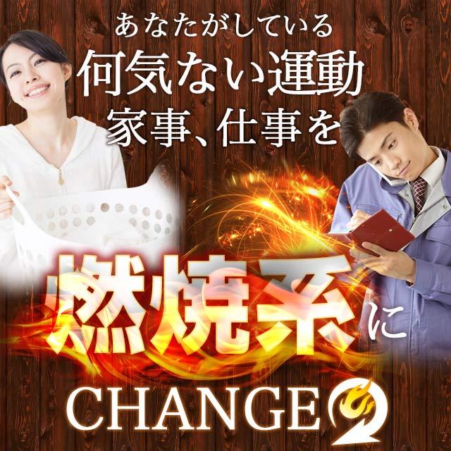 生コーヒークロロゲン酸 （約3ヶ月分） ダイエットコーヒー サプリメント サプリコーヒー豆 健康 美容 オーガランドポイント利用 | ogaland | 10