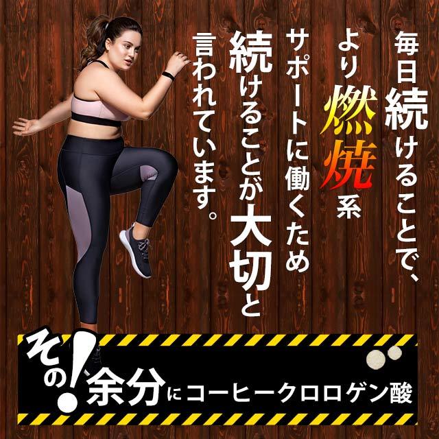 生コーヒークロロゲン酸 （約3ヶ月分） ダイエットコーヒー サプリメント サプリコーヒー豆 健康 美容 オーガランドポイント利用 | ogaland | 07