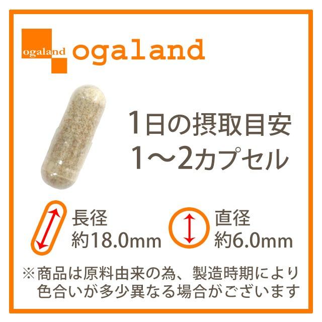 ogaland（オーガランド） オオイタドリ （約3ヶ月分） コンドロイチン