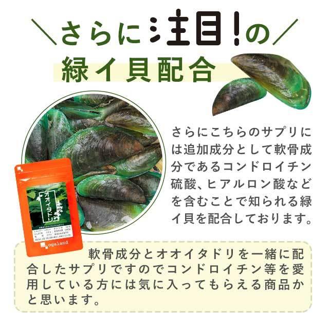ogaland（オーガランド） オオイタドリ （約3ヶ月分） コンドロイチン