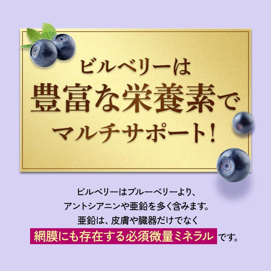 ブルーベリー （約3ヶ月分） サプリ ポリフェノール アントシアニン クコの実 カシス ビタミンB サプリメント ビルベリー βカロテン ポイント利用 | ogaland | 10