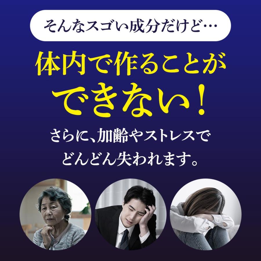 ブルーベリー （約3ヶ月分） サプリ ポリフェノール アントシアニン クコの実 カシス ビタミンB サプリメント ビルベリー βカロテン ポイント利用 | ogaland | 12