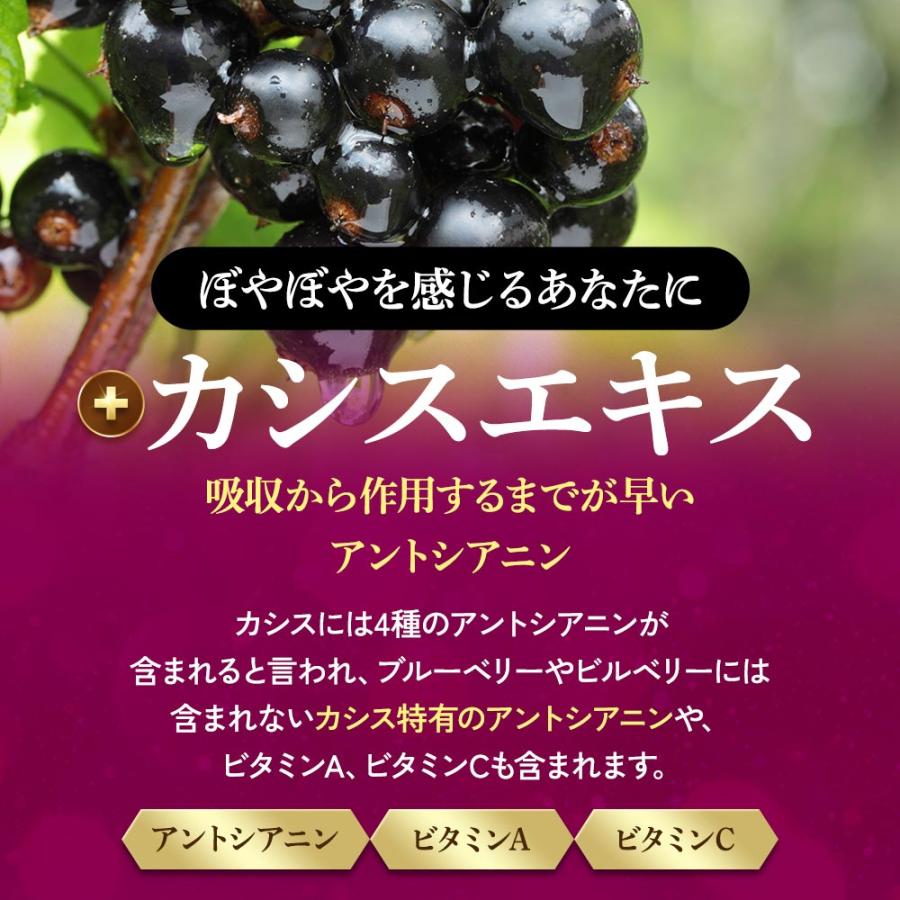 ブルーベリー （約3ヶ月分） サプリ ポリフェノール アントシアニン クコの実 カシス ビタミンB サプリメント ビルベリー βカロテン ポイント利用 | ogaland | 14