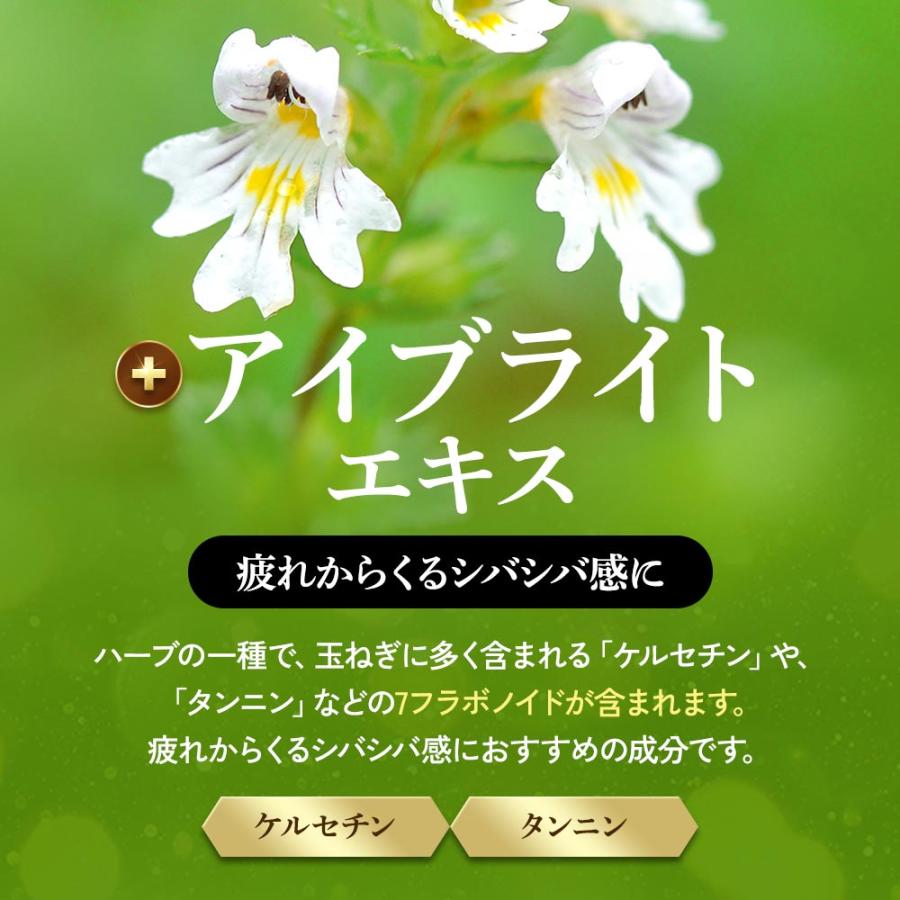 ブルーベリー （約3ヶ月分） サプリ ポリフェノール アントシアニン クコの実 カシス ビタミンB サプリメント ビルベリー βカロテン ポイント利用 | ogaland | 15